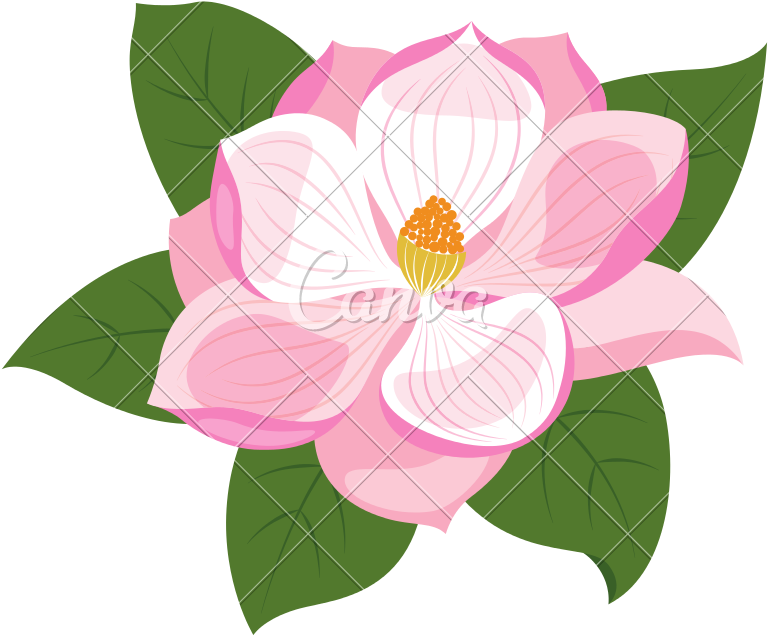 Spring Flower Design - Sacred Lotus (800x800)