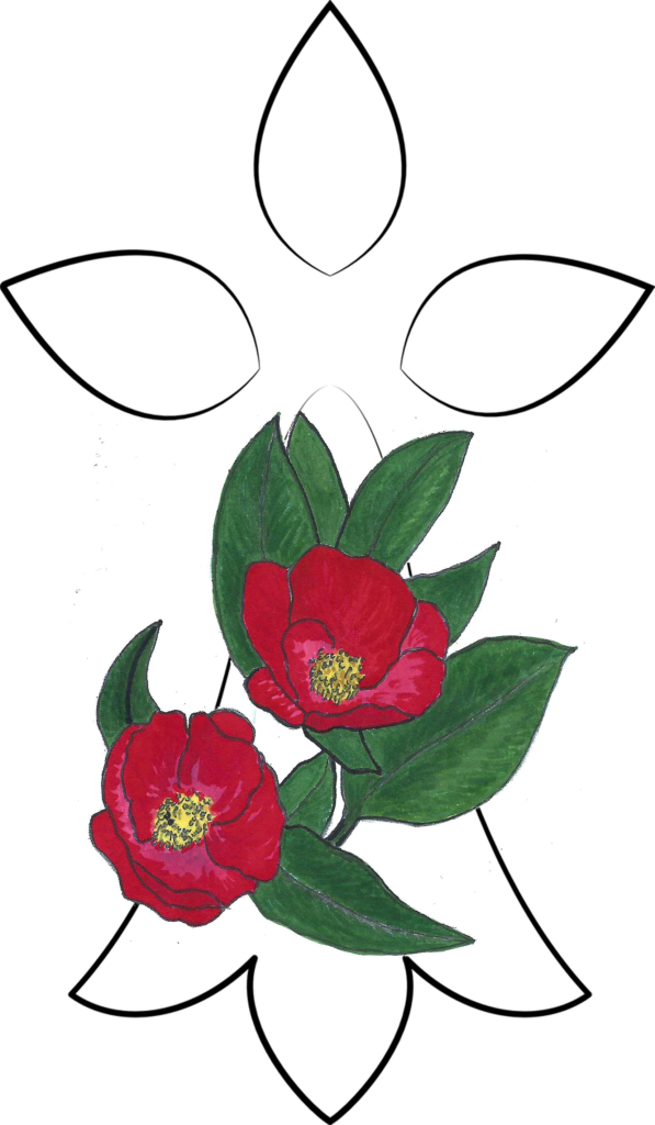 Https - //www - Skoluhelarvro - Bzh/wp Camellia 300w" - Garden Roses (597x1024)