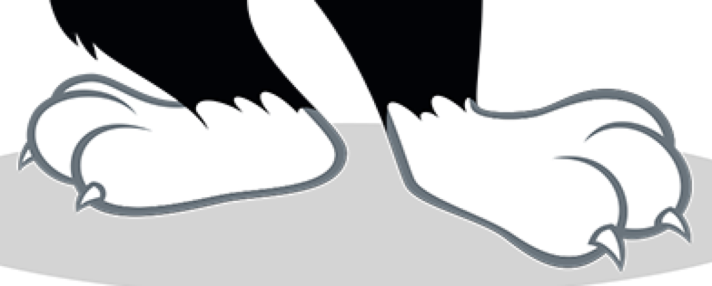 Sylvester The Cat Feet Close Up By Ld1998 - Illustration (1408x567)