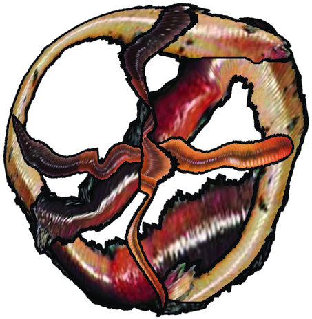 Limited Edition 1 Of 1 500ml For Questions And Other - Illustration (567x567)