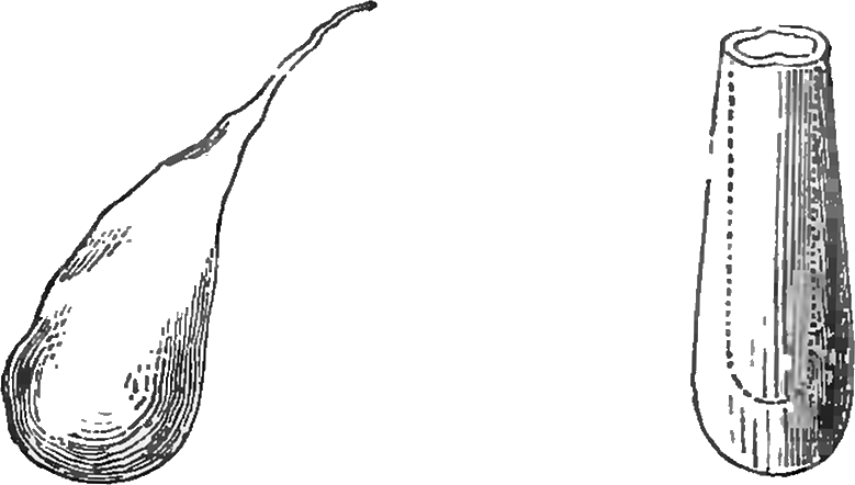 Figures 13 And 14 On Page 46 Of Various Forces Of Matter - Line Art (779x442)