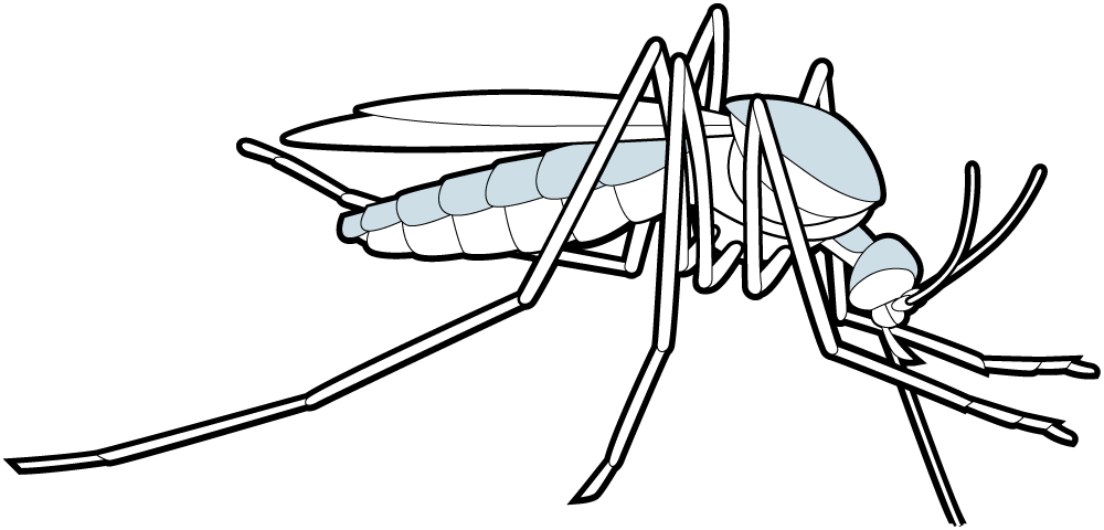 1000 X 480 9 0 - 1000 X 480 9 0 (1000x480)