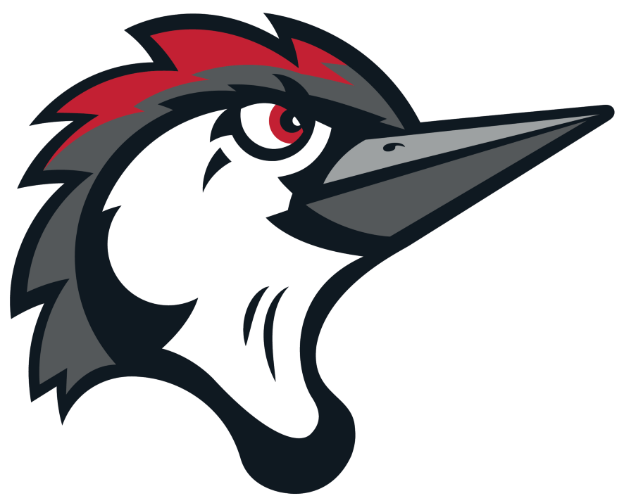 Logo Elements Symbolizing Two Of The Region's Most - Fayetteville Woodpeckers (1200x1200)