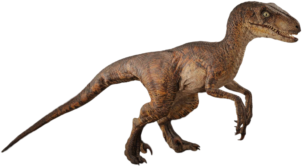 1024 X 606 8 - Jurassic Park Raptor Png (1024x606)
