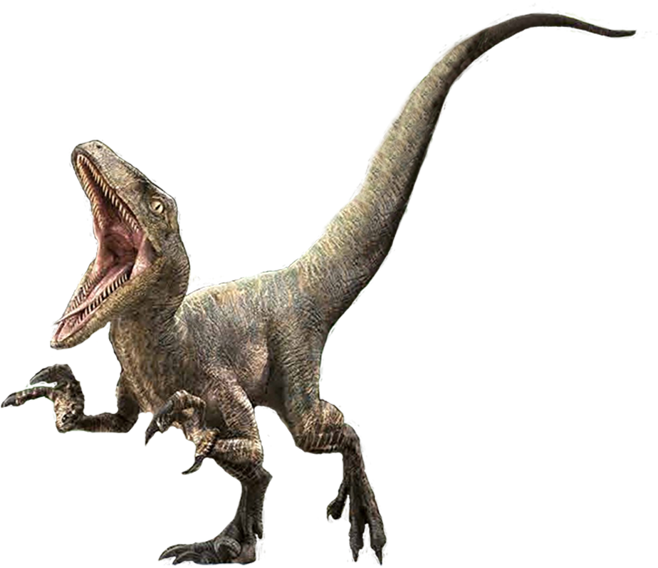 1181 X 827 6 - Jurassic World Velociraptor Delta (1181x827)
