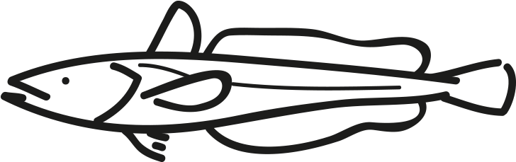 Cape Hake / South African Hake - Cape Hake / South African Hake (796x500)