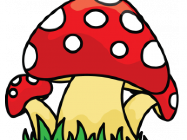 Drawn Mushroom Wild Mushroom - Mushrooms Draw Png (640x480)
