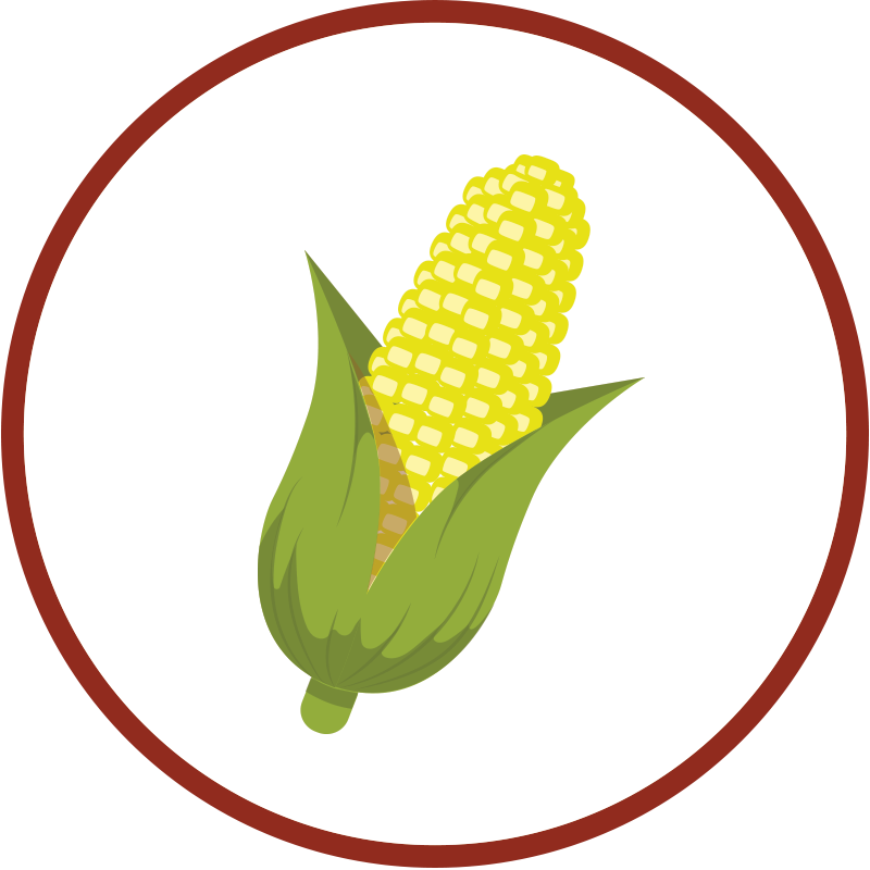 How To Make Bourbon Ingredients Corn - Virgin Media Southampton Logo (800x800)
