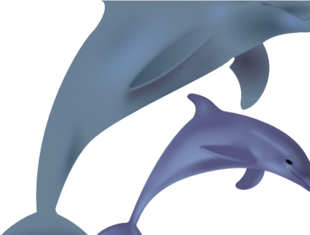 Spinner Dolphin Clipart Marine Biologist - Dolphin Christmas Clipart (640x480)