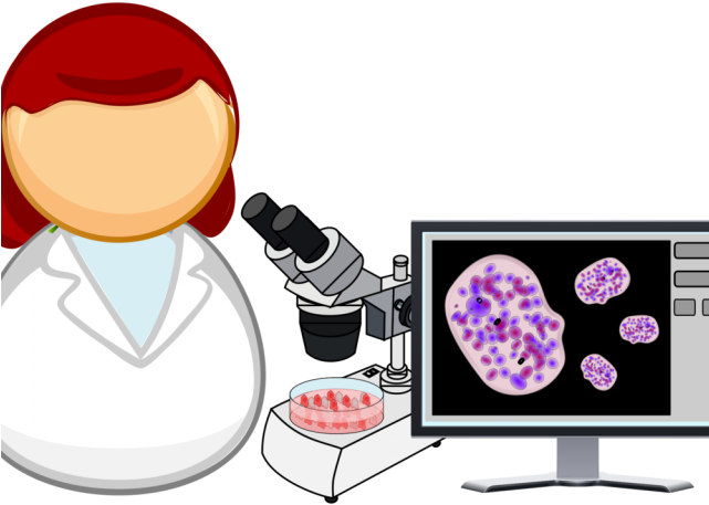 Microscope Clipart Marine Biologist - Food Processing Clip Art (640x480)
