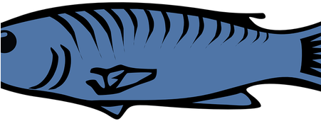450 X 300 3 - Blue Fish Clip Art (450x300)