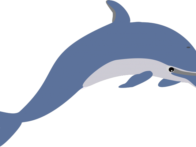 Spinner Dolphin Clipart Marine Biologist - Dolphin Clip Art (640x480)