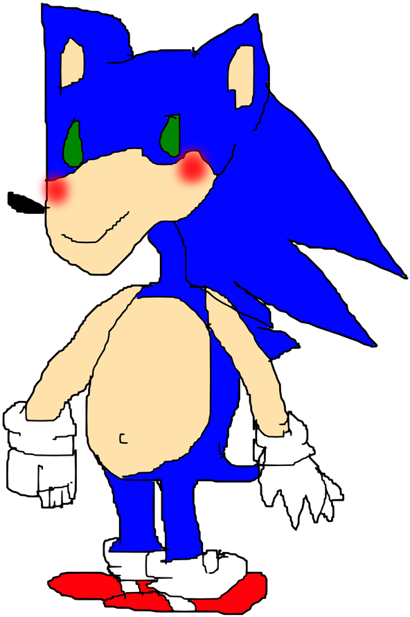 Happy 25th Birthday, Sanic - Cartoon (894x894)