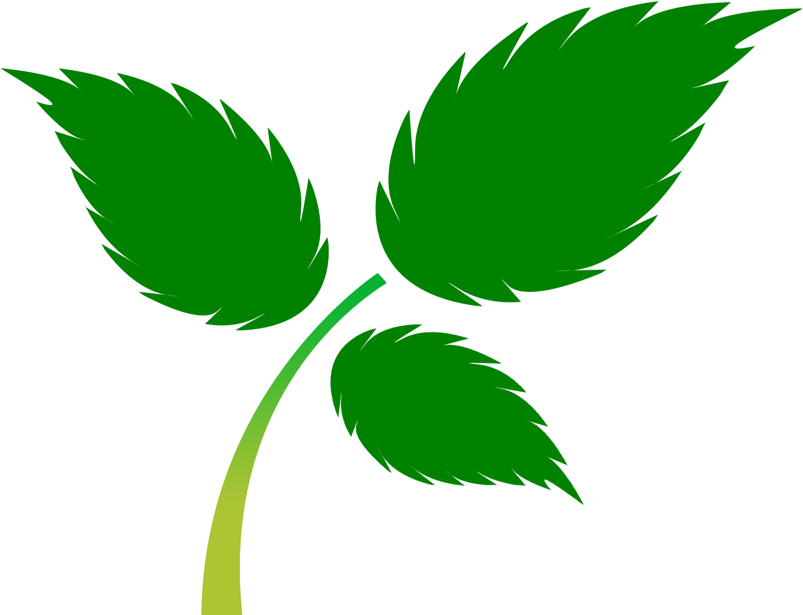 Alderwoodschool - Alderwood Primary School (1819x1819)