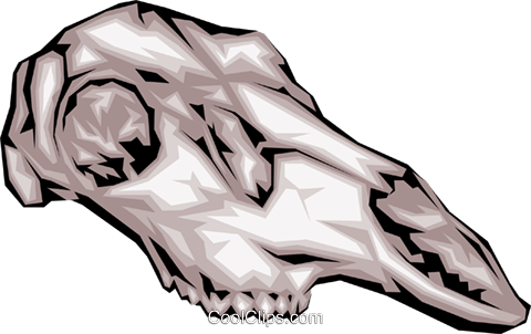 Animal Skull Clipart At - Animal Skull (480x302)