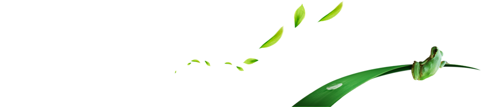 Sunsin Sub Image - Sunsin Sub Image (1000x219)