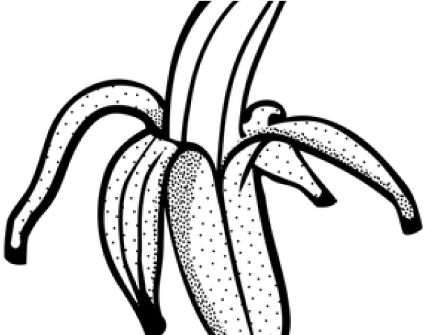 Banana Pudding Clipart Bunch Banana - Clip Art Black And White Of Banana (640x480)