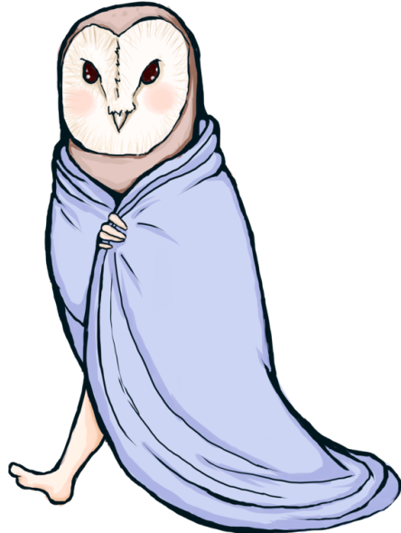 500 X 641 1 - Barn Owl (500x641)