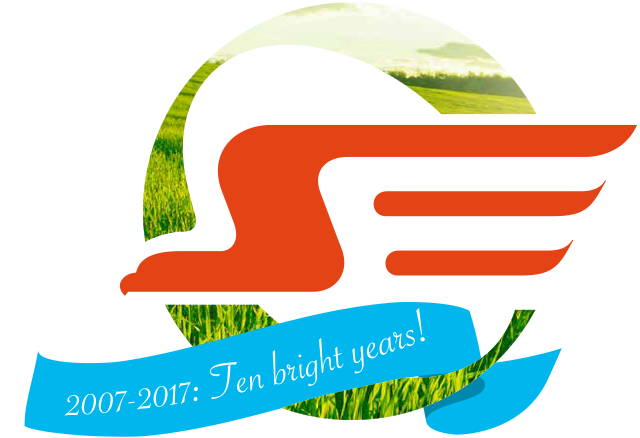 Integrated Annual Report - Graphic Design (640x438)