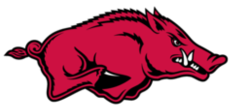 Arkansas Razorbacks (512x512)