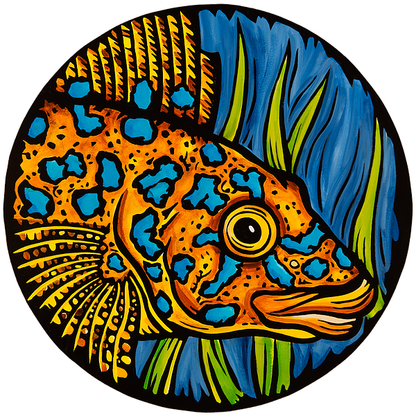 This Is A Partial View Of The Fishing Wall Which Is - This Is A Partial View Of The Fishing Wall Which Is (600x601)