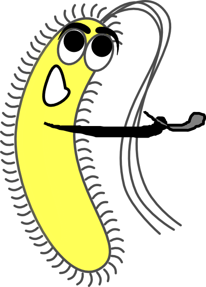 Single Celled Organism Clipart (426x592)