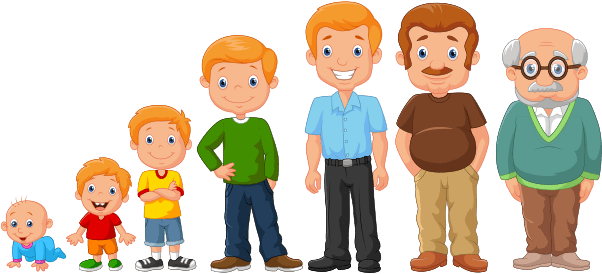 Etapas De Vida Del Hombre (601x411)