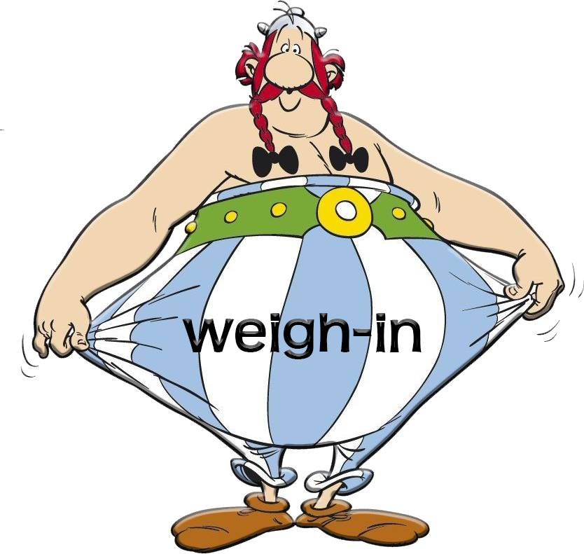 Obelix Weigh In Button - Obelix Cartoon (834x791)