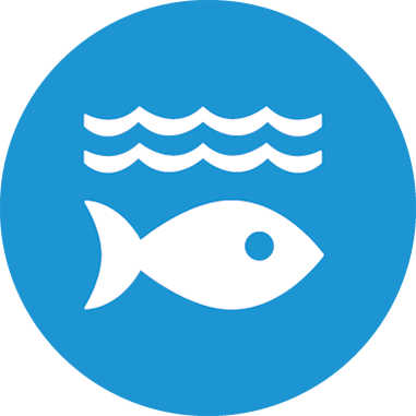 Life Below Water - Global Goals 14 (381x381)