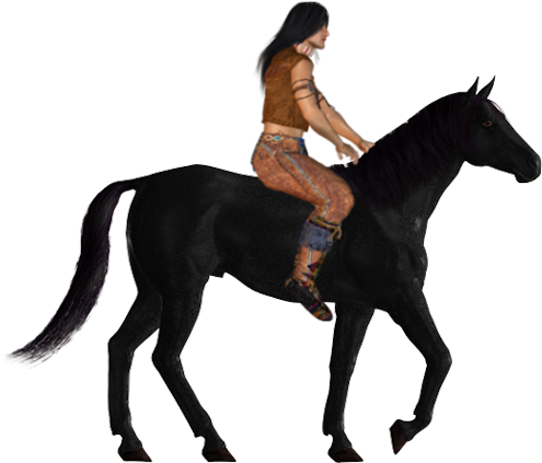 Nt-06 - Stallion (517x450)