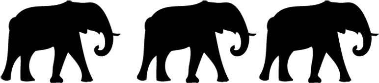 There Are 3 Elephants In The Room - 3 Elephants (800x199)