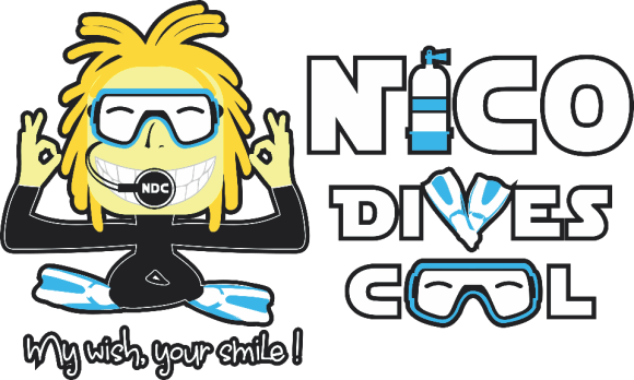 Nico Dives Cool Pricing - Nico Dives Cool Pricing (580x348)
