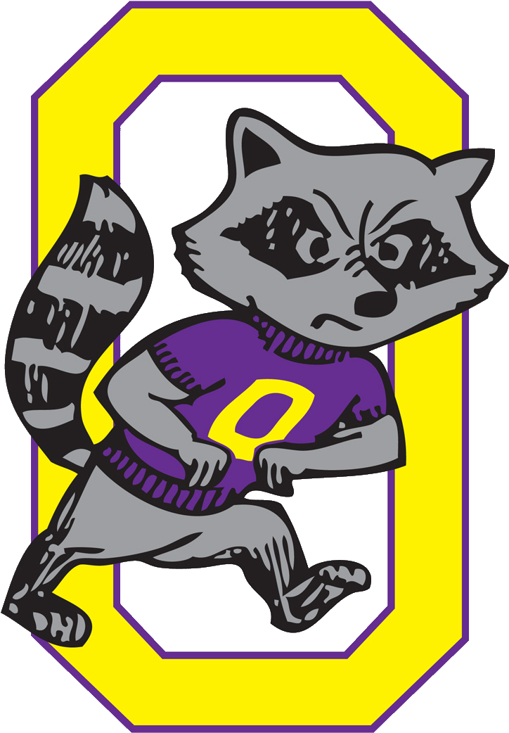 The Oconomowoc Raccoons Defeat The Beaver Dam Golden - Domestic Short-haired Cat (723x1071)