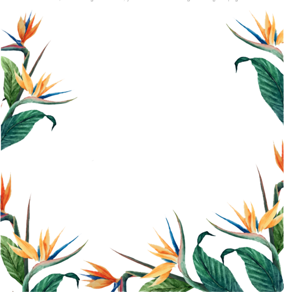 Freetoedit Ftestickers Flowers Floralborder - Frame Modern Png (1024x1014)