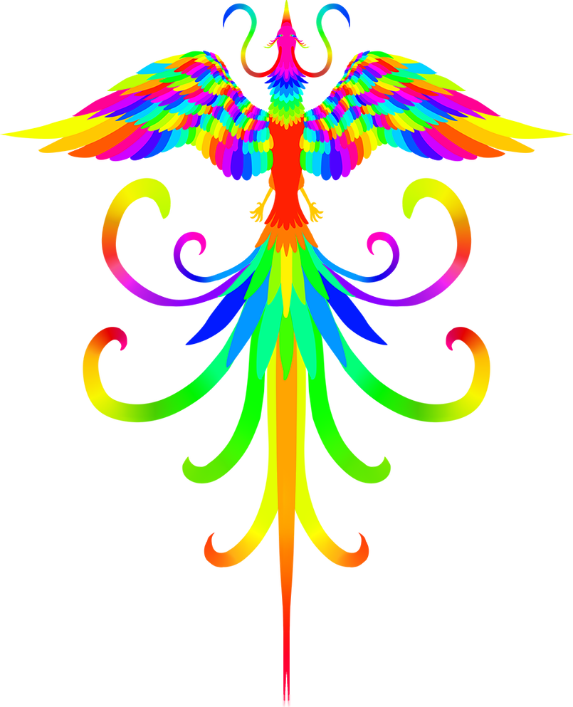 Rainbow Paradise Bird By Aeonae - Graphic Design (805x993)