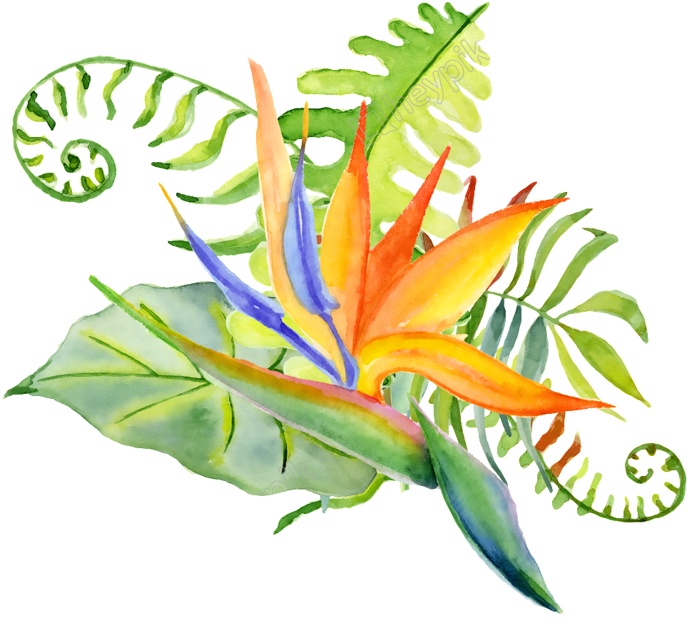 Clip Art Free Library Hand Painted Ornamental Plant - Bouquet Leafe (1024x1024)
