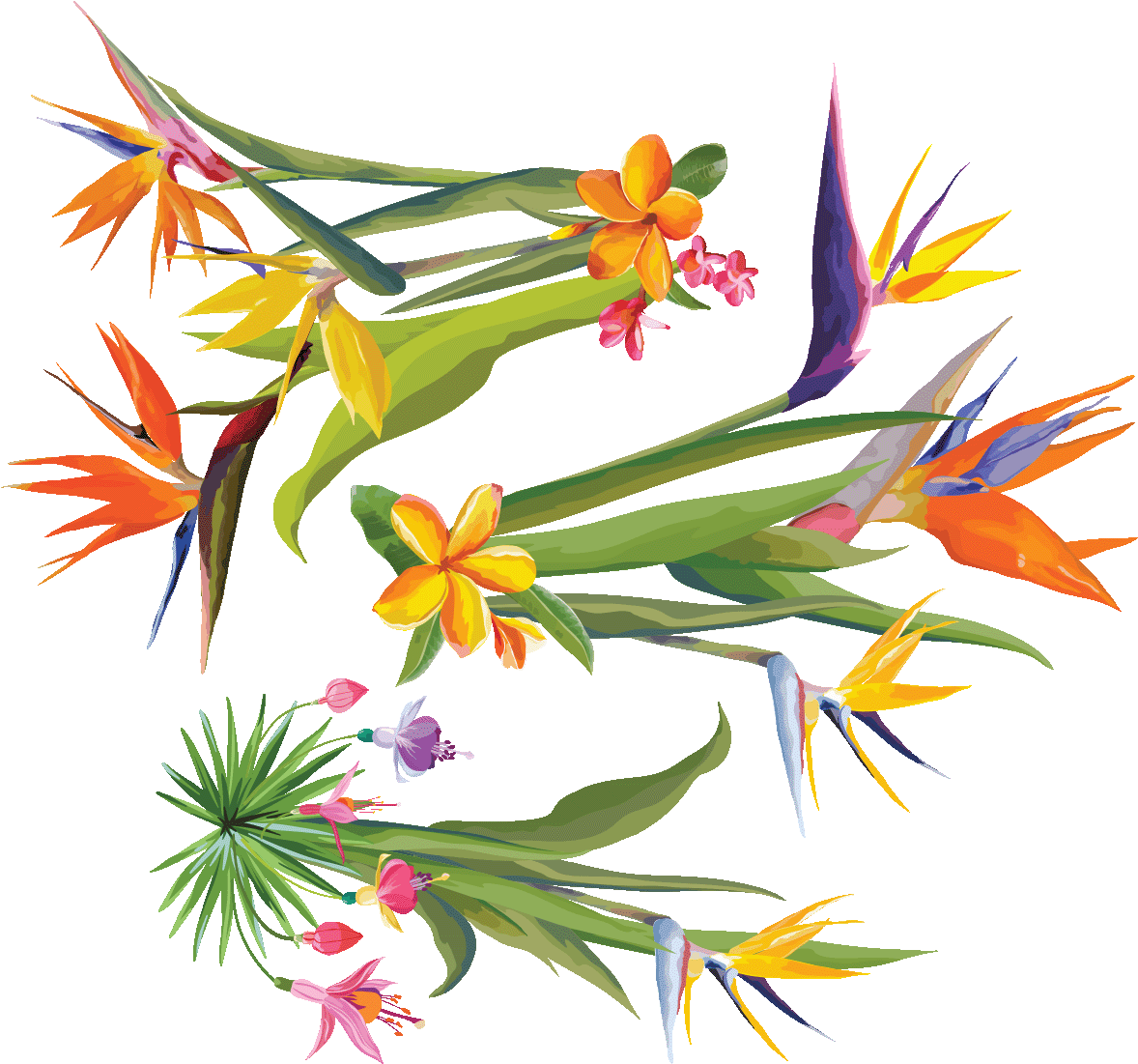 Sticker Fleurs Tropicales Trois Bouquets Des Oiseaux - Bird Of Paradise (1200x1200)