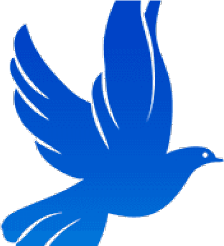 Dove Clipart Zeta Phi Beta - Zeta Phi Beta Dove Png (640x480)