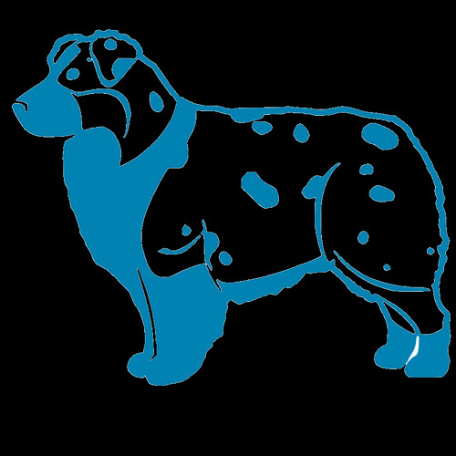 Aussie - Companion Dog (500x500)