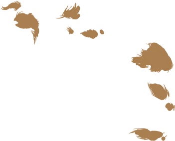 Large Patches - - Illustration (475x538)