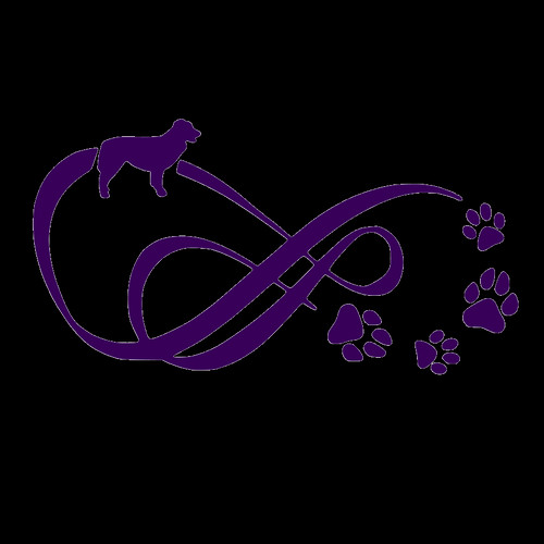 Aussie - Illustration (500x500)