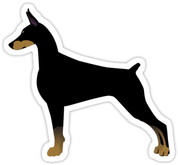 Doberman Pinscher Basic Breed Silhouette By Tripoddogdesign - Doberman Happy Birthday (375x360)