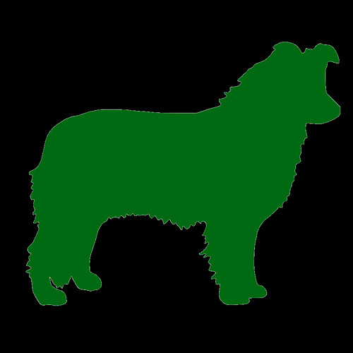 Aussie - Companion Dog (500x500)