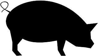 Pot Belly Pigs - Domestic Pig (450x450)