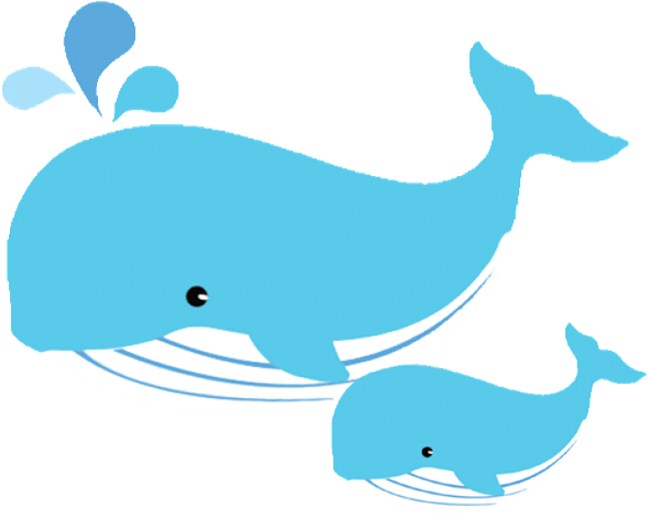Permalink To Whale Clipart - Mom And Baby Whale Clipart (728x621)