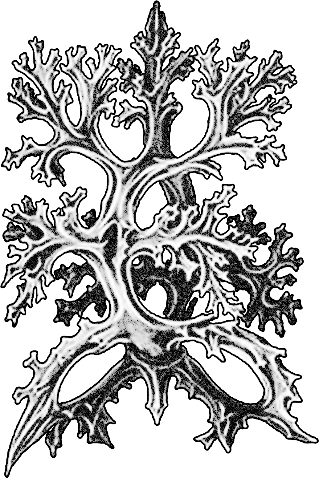 Friday, December 16, - Illustration (1600x1600)