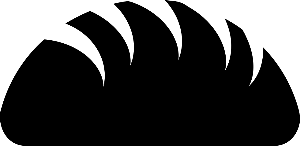 Whole Wheat Bread Comments - Illustration (980x478)