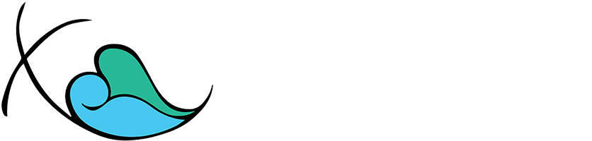 A Choice 2 M8k Crisis Pregnancy Care Center Logo - A Choice 2 M8k Crisis Pregnancy Care Center Logo (845x200)