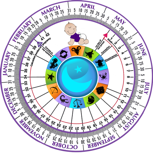 Pregnancy Due Date Calculator - Pregnancy Due Date Wheel (512x512)