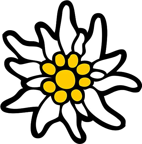 Edelweiss Png - Edelweiss Png (960x662)